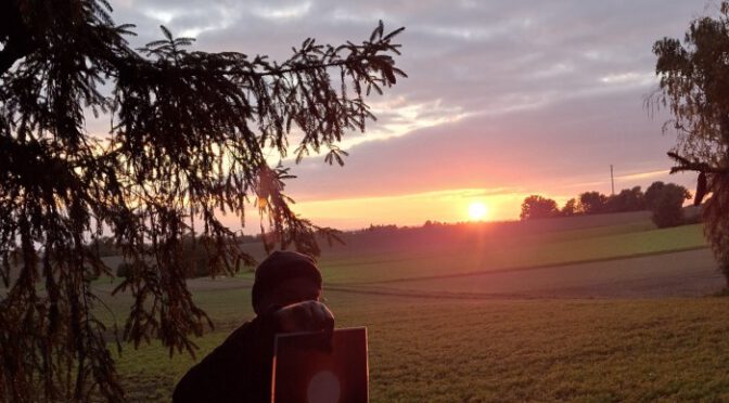 Tour in die Dämmerung des Hartwaldes